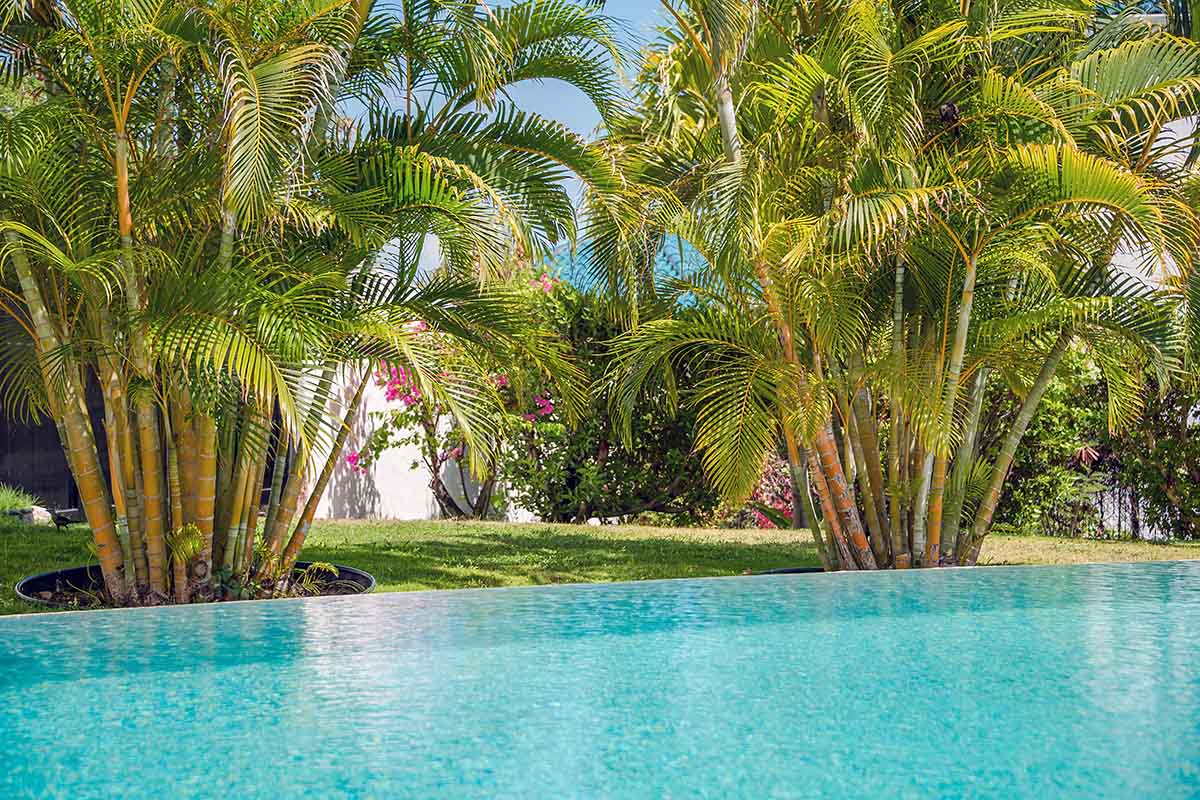 Saint Maarten Saint Martin Home 979219