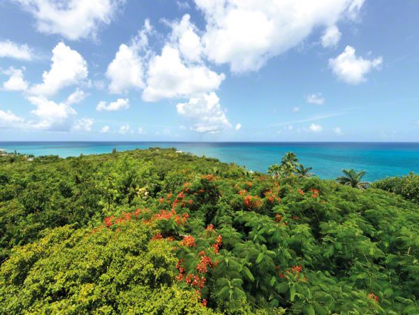 Saint Maarten Saint Martin Home 979233