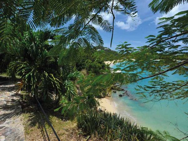 Saint Maarten Saint Martin Home 979247