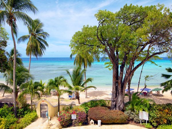 Barbados Condo 979318