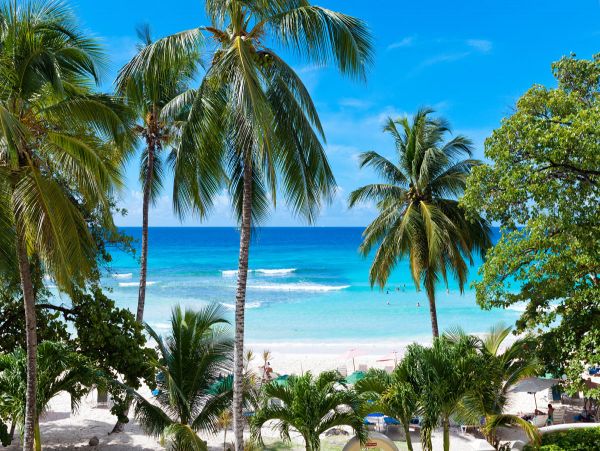 Barbados Condo 979320