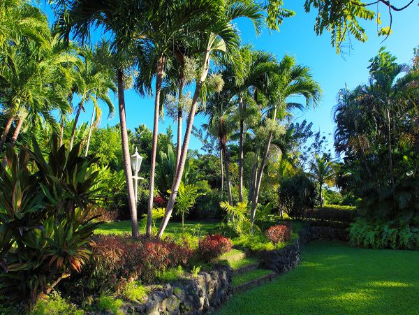 Barbados Home 979344