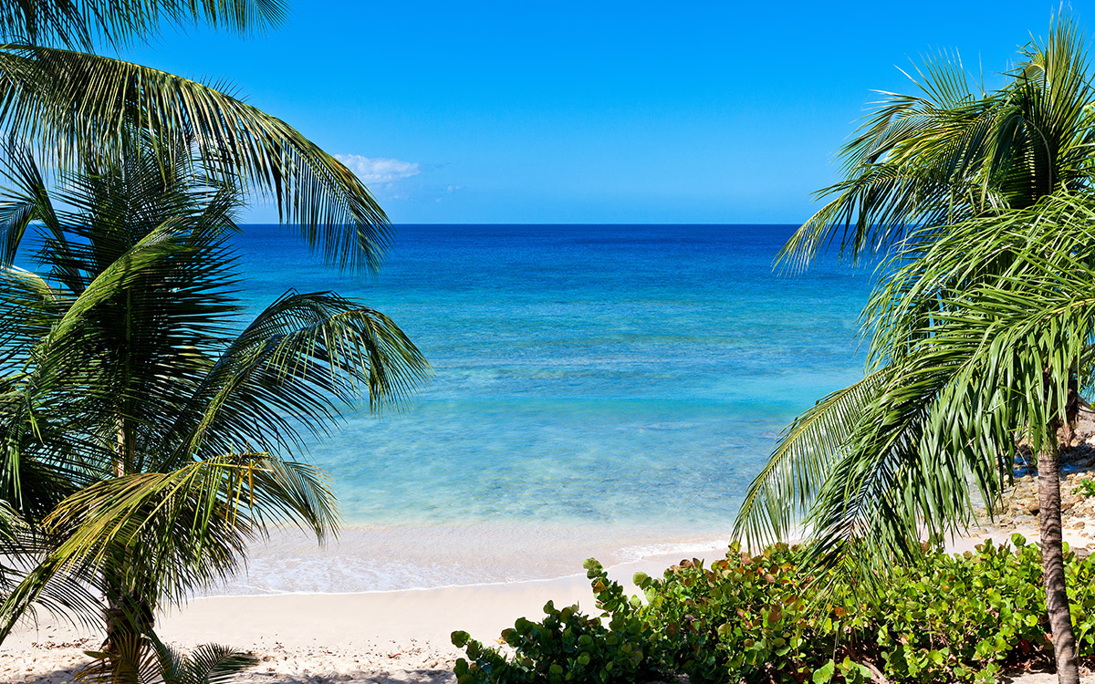 Barbados Home 979345