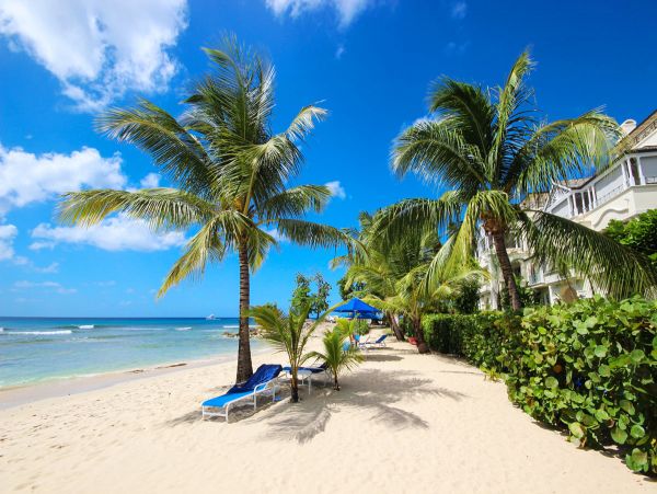 Barbados Condo 979347