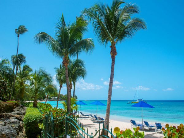 Barbados Condo 979347