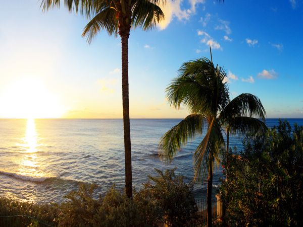 Barbados Home 979353