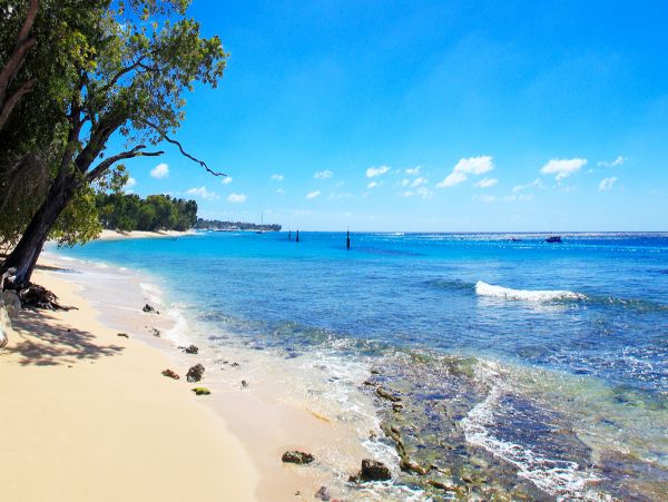 Barbados Home 979353