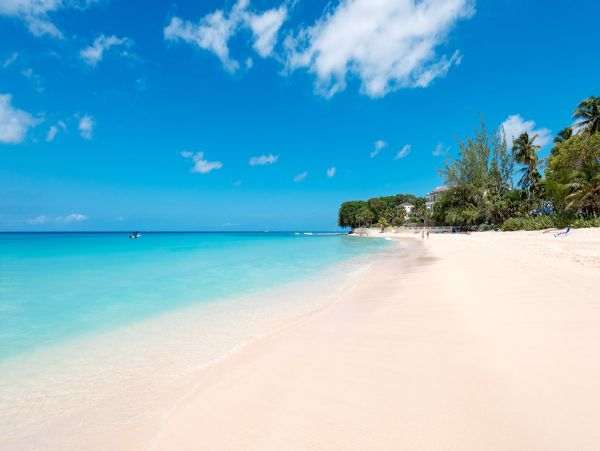 Barbados Condo 979356