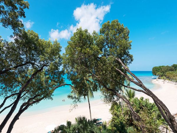 Barbados Condo 979356