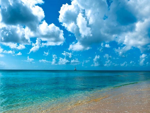 Barbados Home 979365