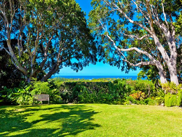 Barbados Home 979373