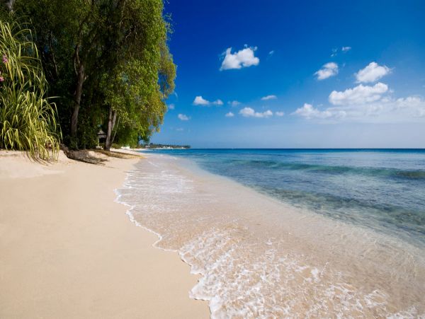 Barbados Home 979379
