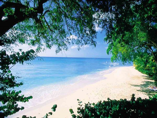 Barbados Condo 979381