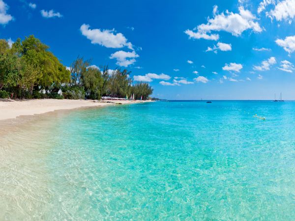 Barbados Home 979384