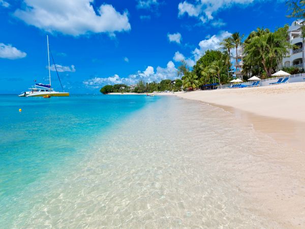 Barbados Condo 979385