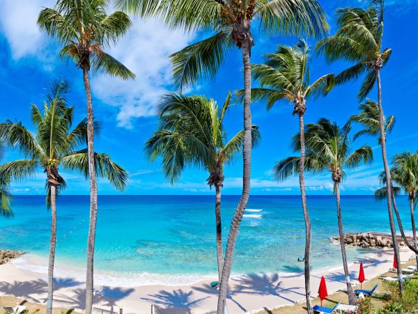 Barbados Condo 979386
