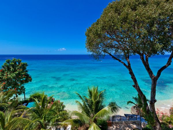 Barbados Condo 979389
