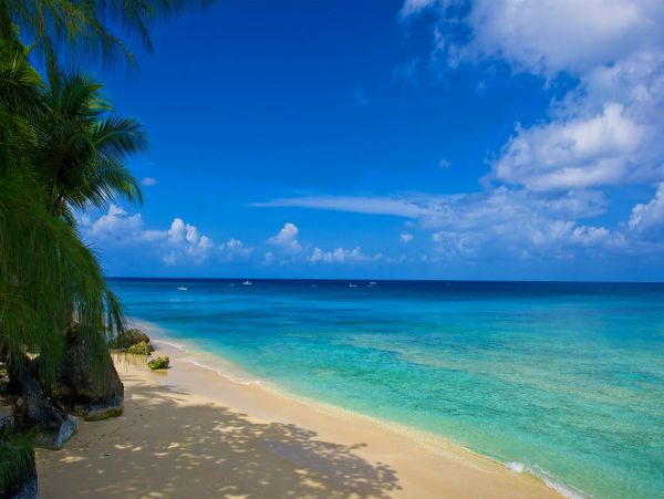 Barbados Home 979390