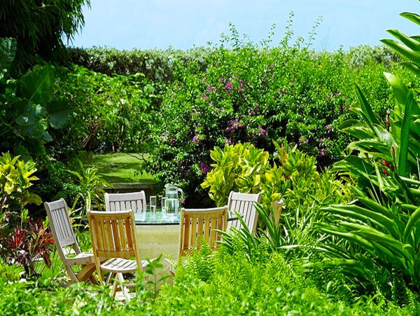 Barbados Home 979400