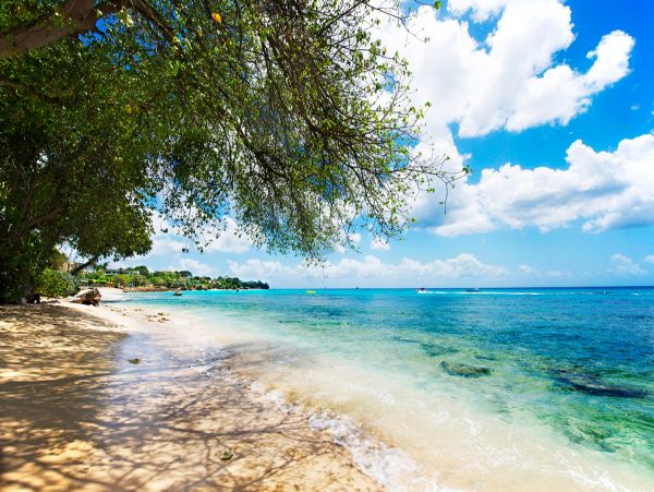 Barbados Condo 979402