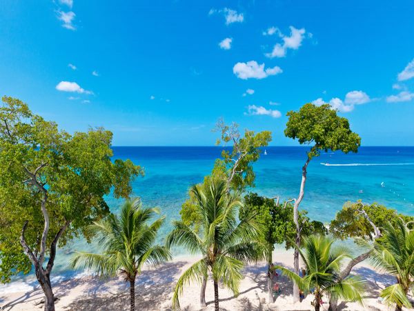 Barbados Condo 979402