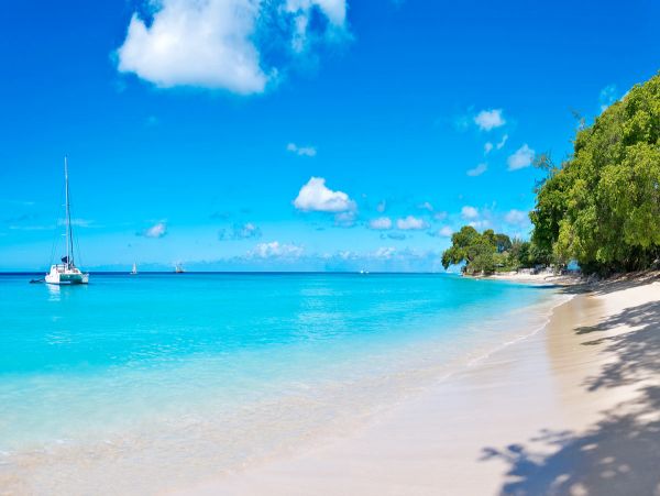 Barbados Home 979418