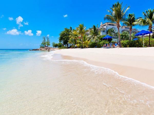Barbados Condo 979424