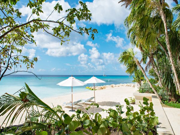 Barbados Home 979426