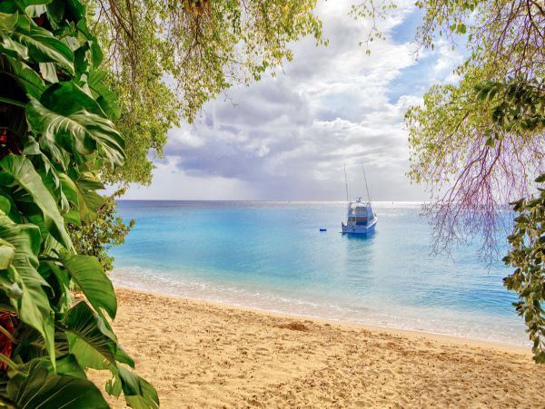 Barbados Home 979429