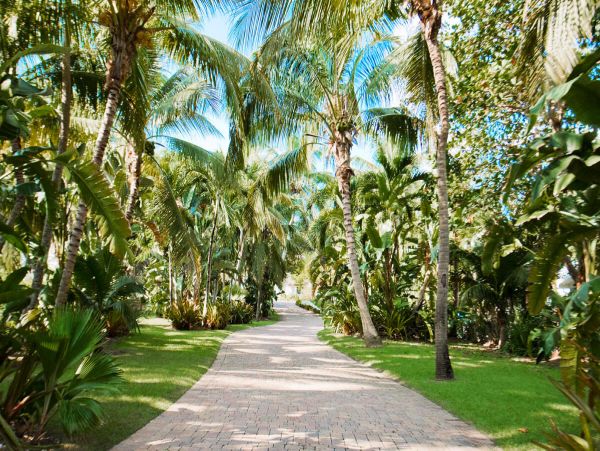 Cayman Islands Home 979515