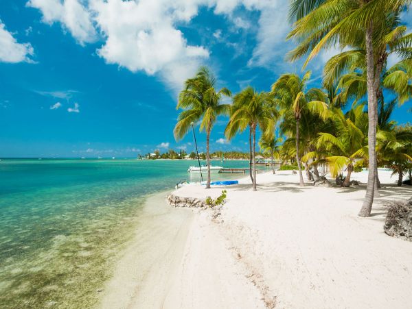 Cayman Islands Home 979524