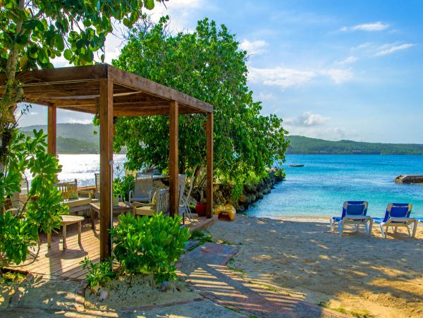 Jamaica Home 979534
