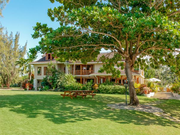 Jamaica Home 979535