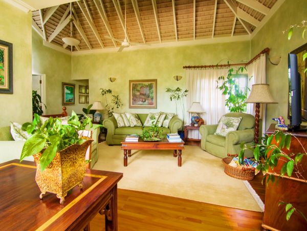 Jamaica Home 979536