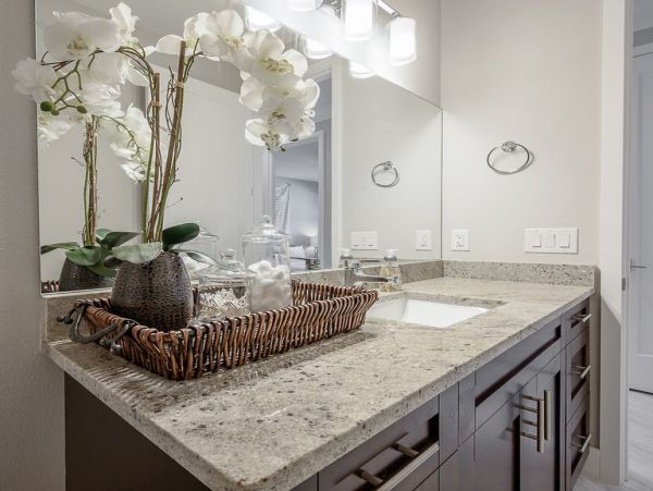 Tampa Villa Rental