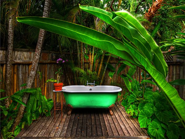 Jamaica Home 979547
