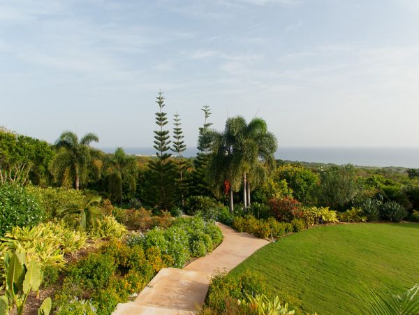 Jamaica Home 979563