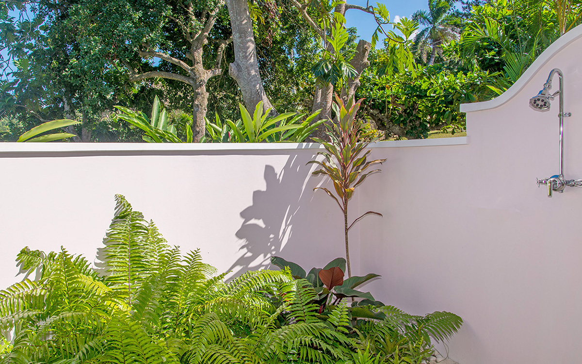 Jamaica Home 979566