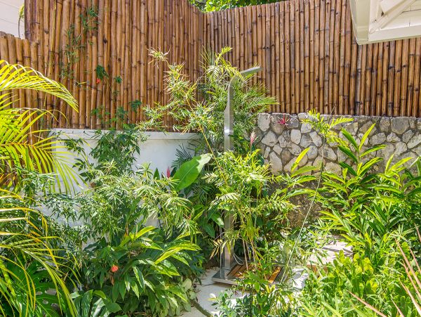Jamaica Home 979576