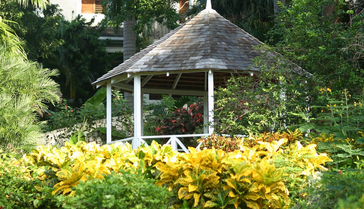 Jamaica Home 979603