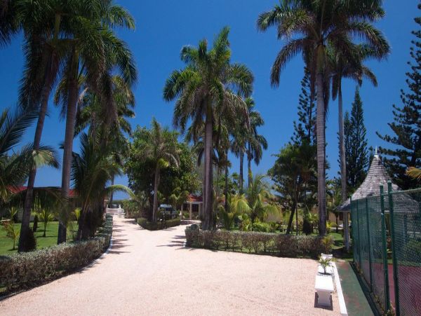 Jamaica Home 979622