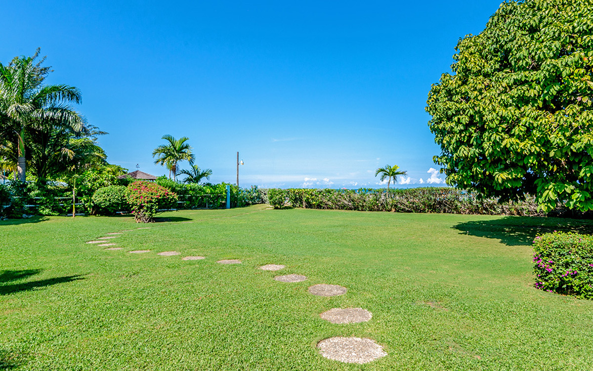 Jamaica Home 979626