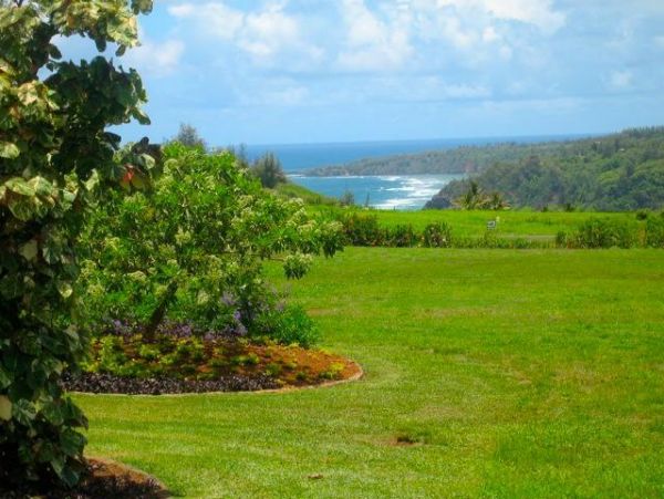 Princeville Home 979638