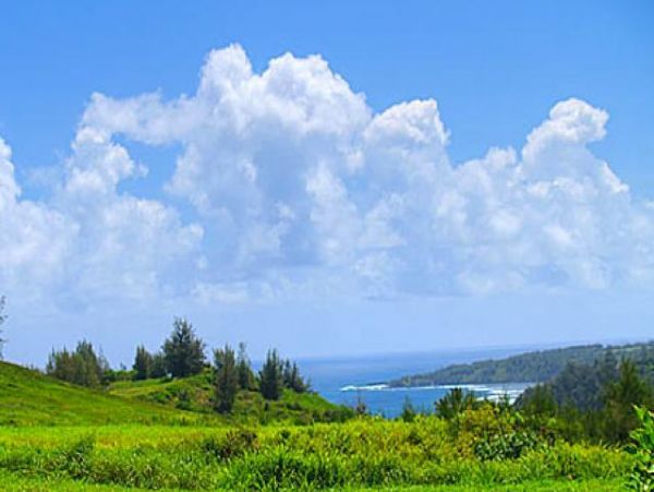 Princeville Home 979638