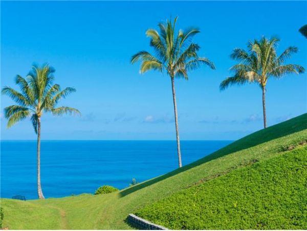 Princeville Condo 979648