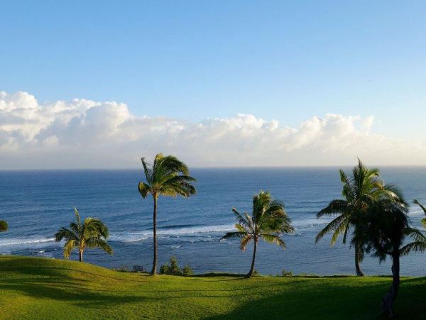 Princeville Condo 979650