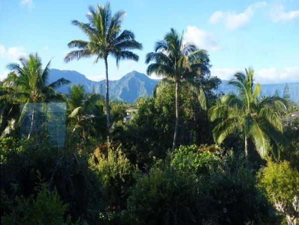 Princeville Condo 979650