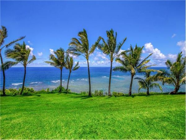Princeville Condo 979653