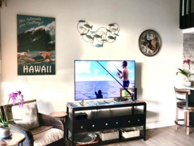 Two Bedroom Condo on Napili Sleeps 4 Guests Ocean Views
