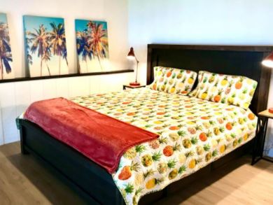 Two Bedroom Condo on Napili Sleeps 4 Guests Ocean Views